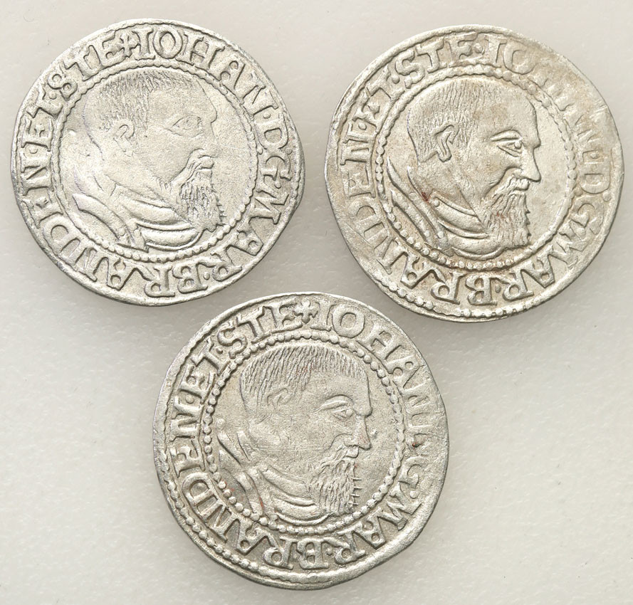 Śląsk. Jan Kostrzyński. Grosz 1544-1545 Kostrzyń, zestaw 3 sztuk